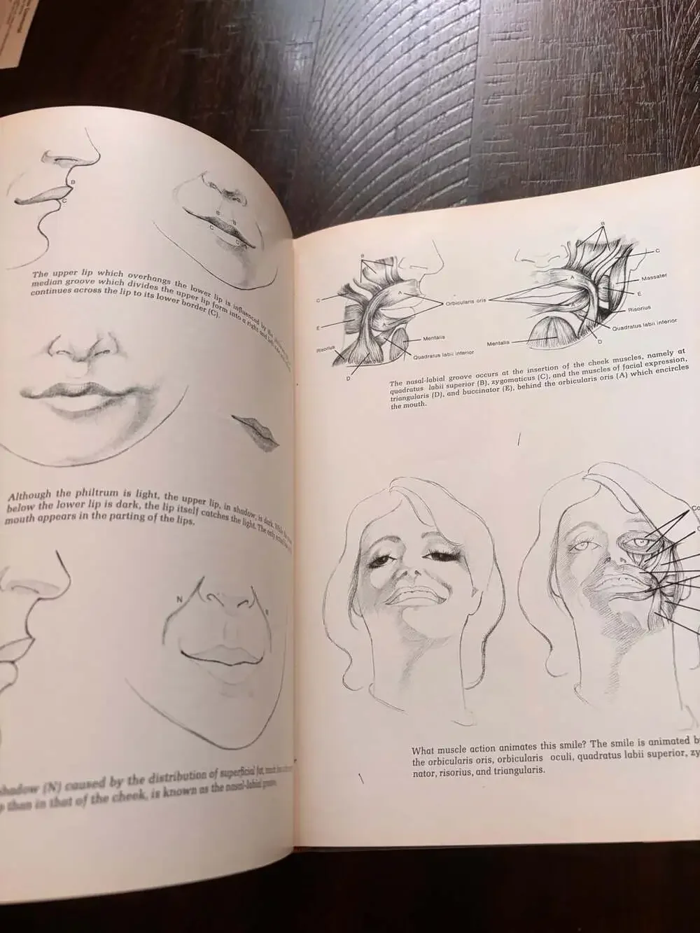 Complete Guide to Portrait Painting by Furman J. Finck Hardcover Book